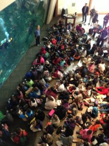photo of school children sitting by aquarium